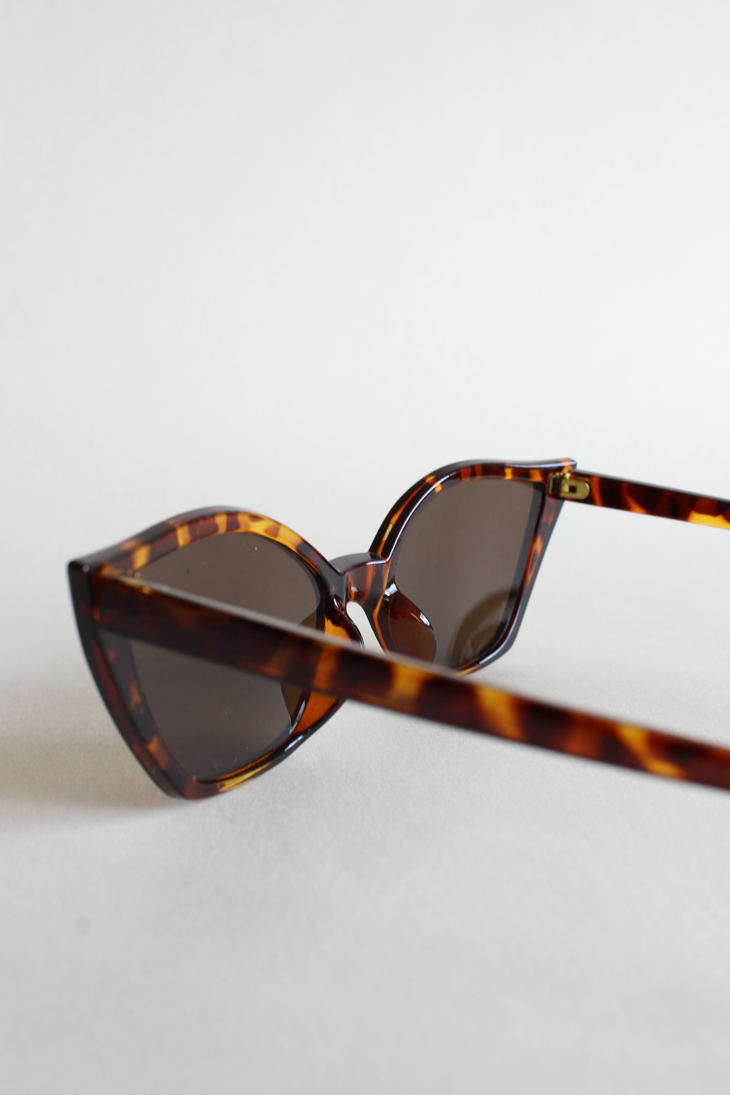 Dani Sunglasses | Brown