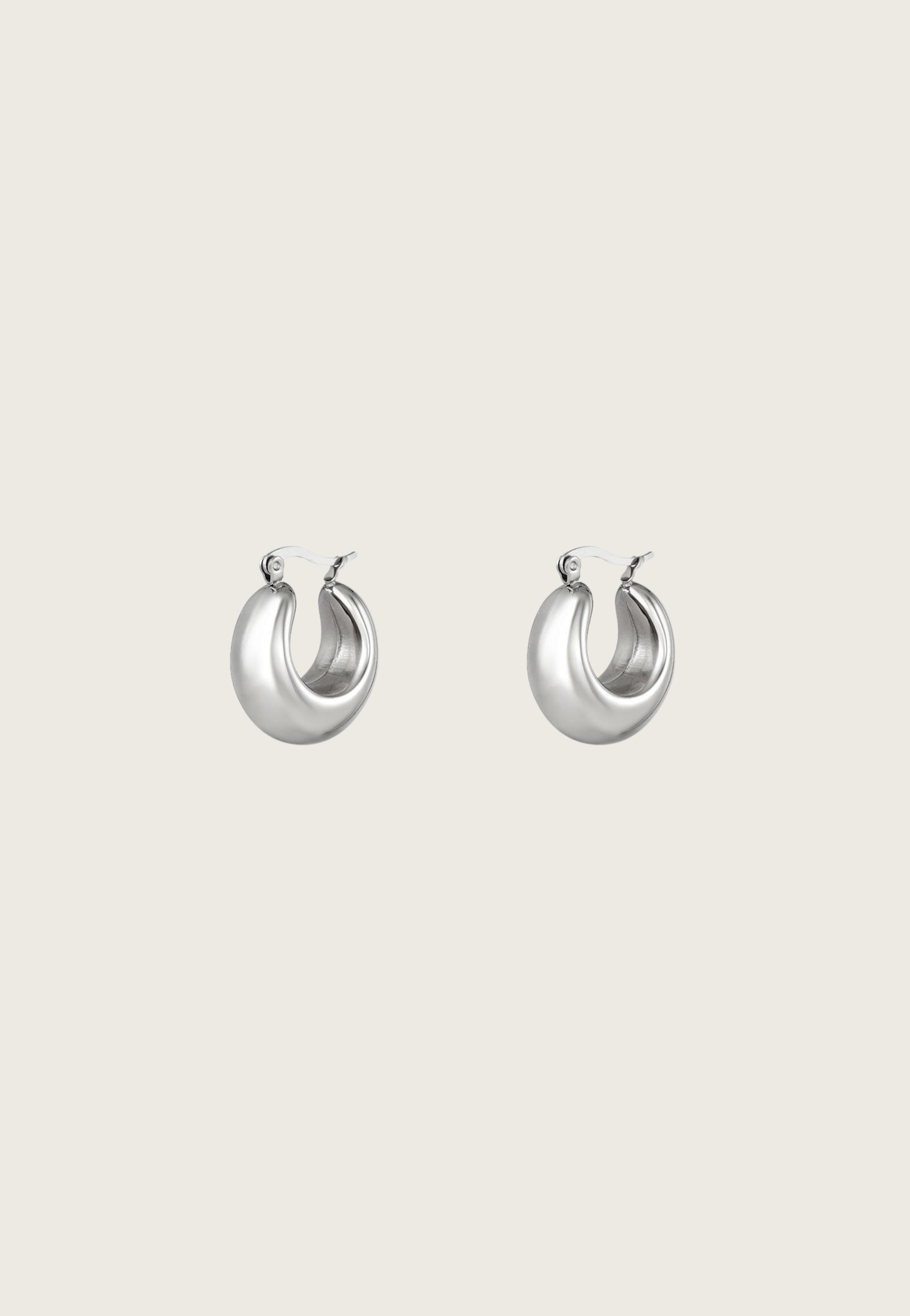 Gigi earrings zilver
