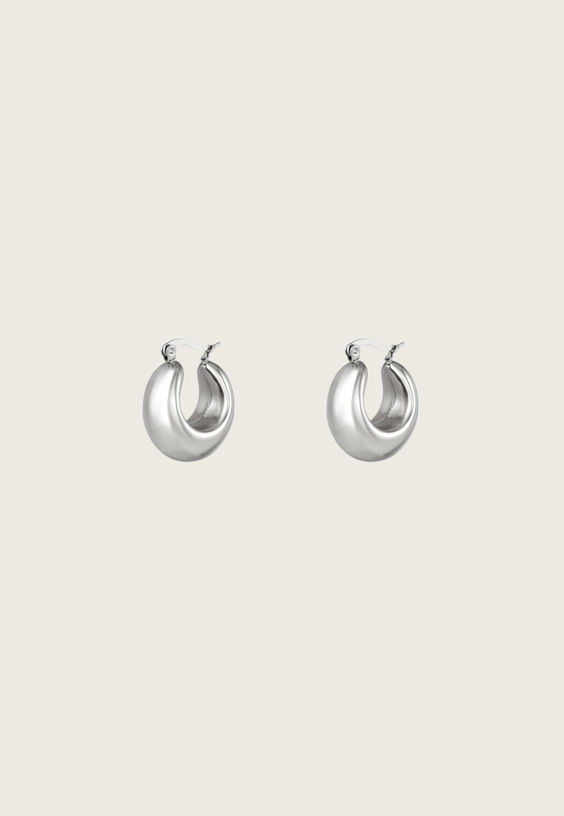 Gigi earrings zilver
